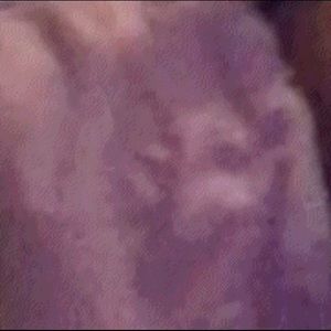 Meet your Posher, Ebony